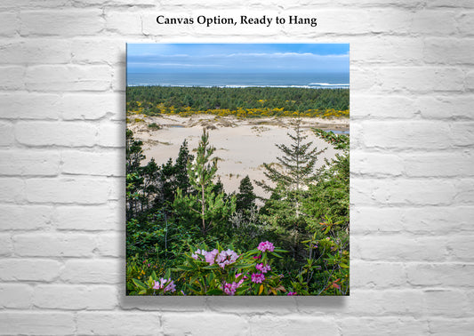 Oregon Dunes Photography Art Print as Oregon Coast Landscape Art Print