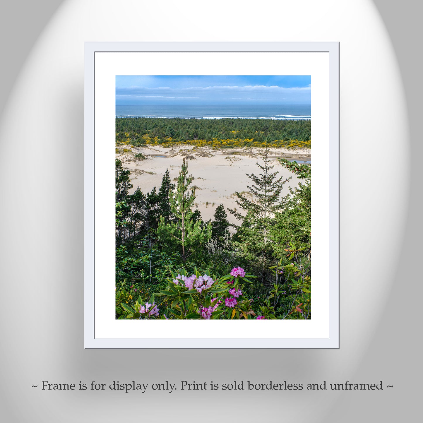 Oregon Dunes Photography Art Print as Oregon Coast Landscape Art Print