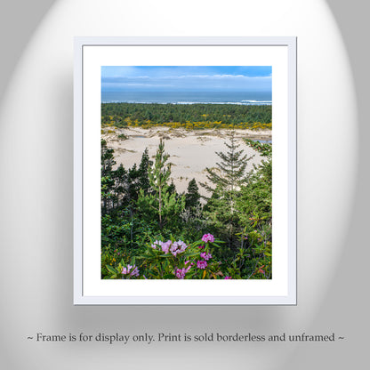 Oregon Dunes Photography Art Print as Oregon Coast Landscape Art Print