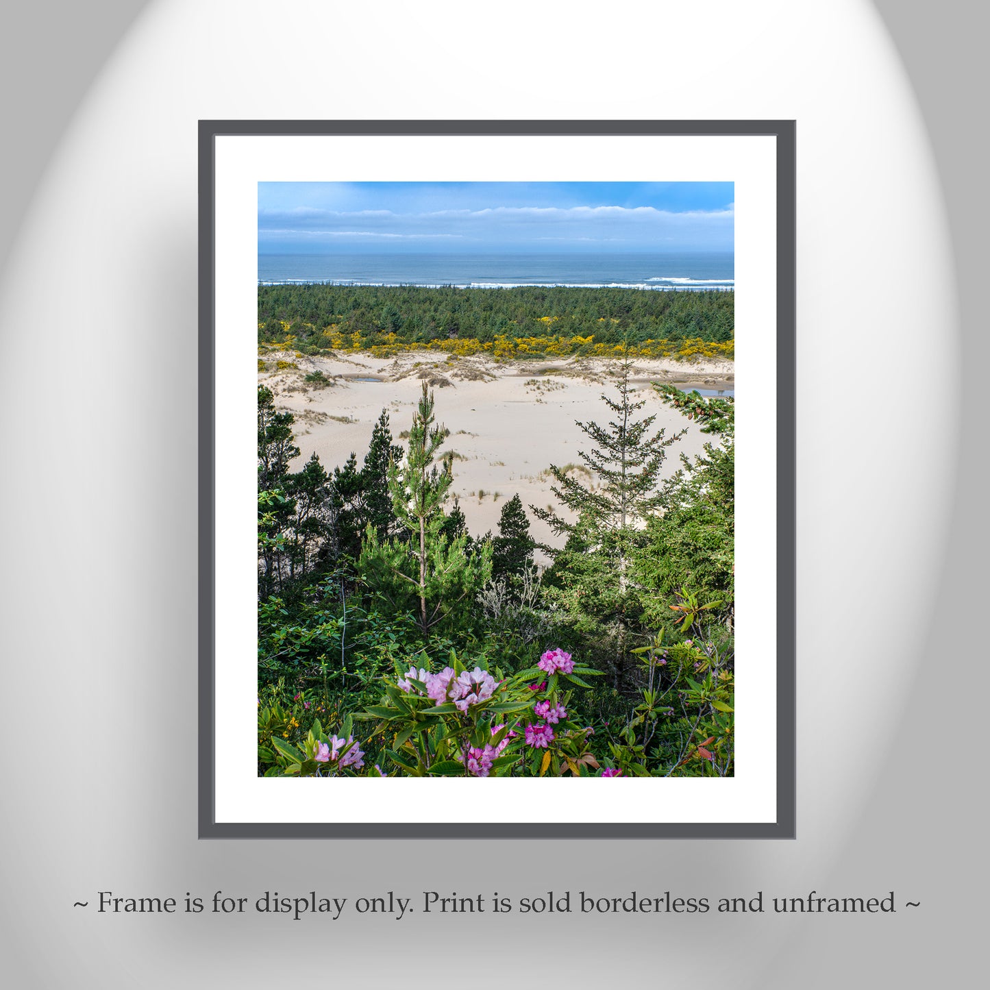 Oregon Dunes Photography Art Print as Oregon Coast Landscape Art Print