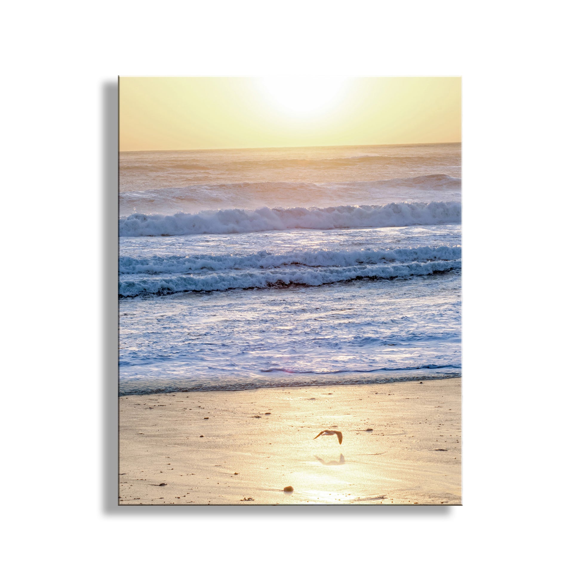 Beach scene with waves and sunset on a white background. My brilliant Pacific Ocean beach sunset photograph to adorn your walls! Here, a lone marauding seagull glides over an empty Jalama Beach on a windy, bracing evening at the Big Sur coast, planet Earth. Original, unique signed art by Murray Bolesta!