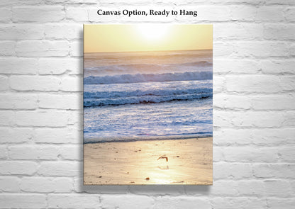 Beach Sunset on California Coast as Bold Colorful Art Photography
