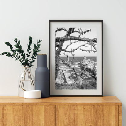 Carmel California Coast Print at Point Lobos in Black & White