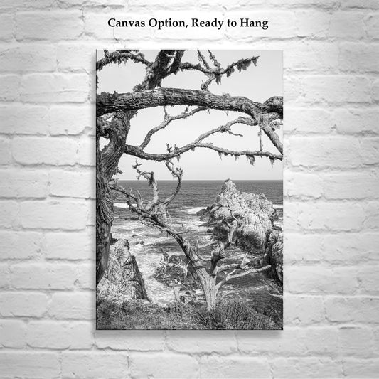 Carmel California Coast Print at Point Lobos in Black & White
