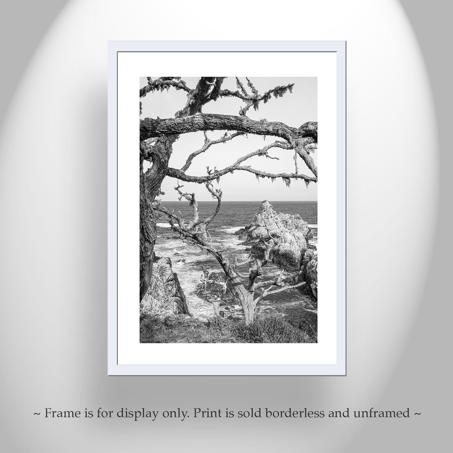 Carmel California Coast Print at Point Lobos in Black & White