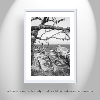 Carmel California Coast Print at Point Lobos in Black & White