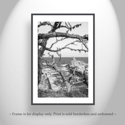 Carmel California Coast Print at Point Lobos in Black & White