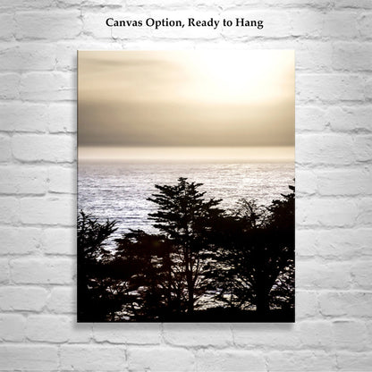Big Sur California Ocean Sunset Art with Monterey Cypress Tree Silhouette