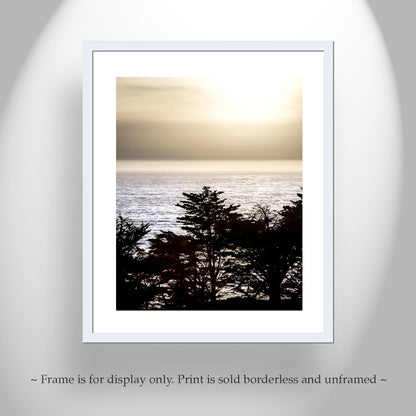 Big Sur California Ocean Sunset Art with Monterey Cypress Tree Silhouette