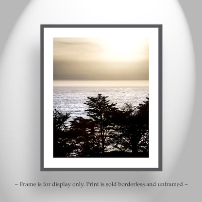 Big Sur California Ocean Sunset Art with Monterey Cypress Tree Silhouette