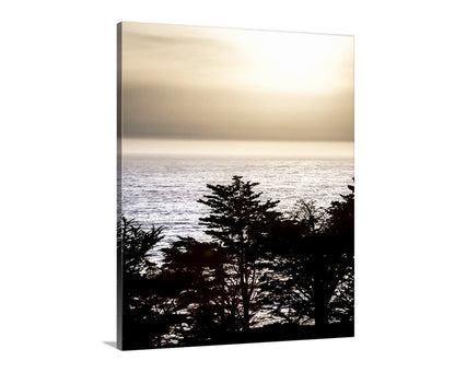 Canvas print of a sunset over the ocean with trees in silhouette. Splendid coastal Monterey Cypress trees are silhouetted against the drama of the mighty Pacific Ocean, at the Big Sur coast of California, planet Earth! Original, unique signed art by Murray Bolesta.