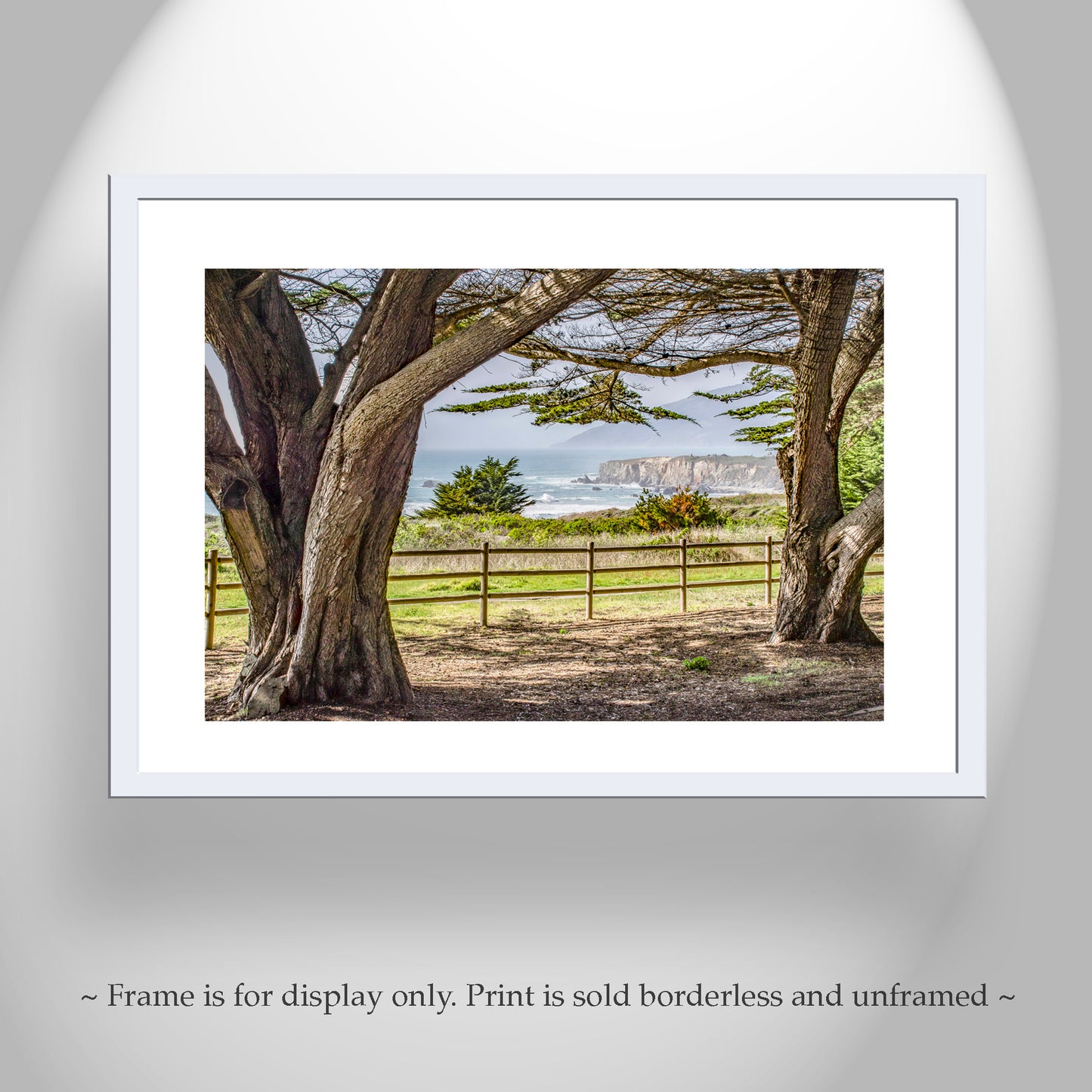 Big Sur Seacoast Art Print – Monterey Cypress & Pacific Ocean California