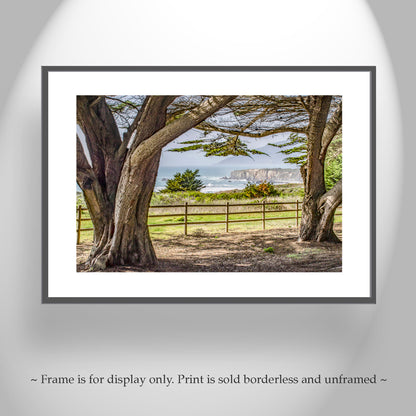 Big Sur Seacoast Art Print – Monterey Cypress & Pacific Ocean California