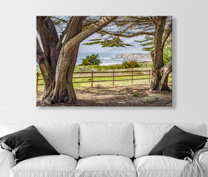 Big Sur Seacoast Art Print – Monterey Cypress & Pacific Ocean California