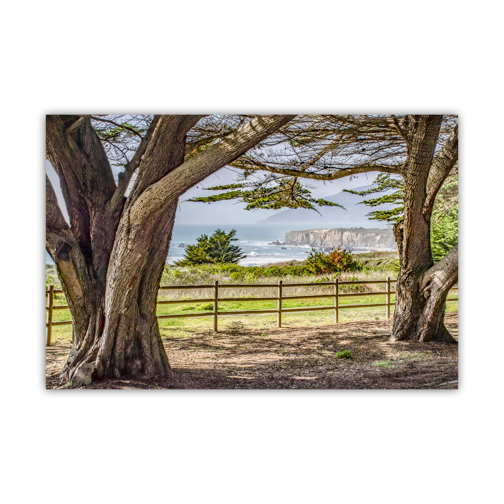Scenic view of a coastal landscape with large trees, a fence, and ocean. Big Sur Seacoast Art Print – Monterey Cypress & Pacific Ocean California