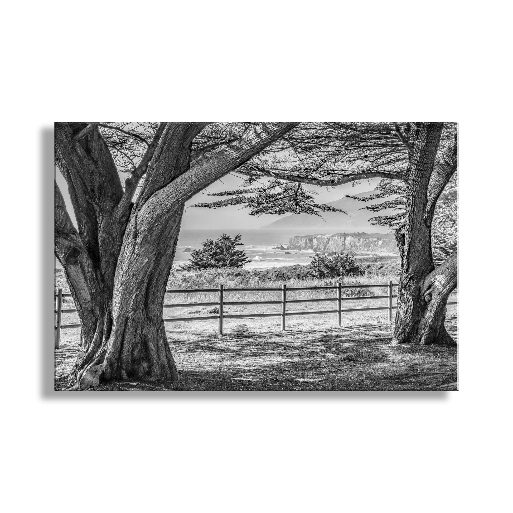 My beautiful black &amp; white Big Sur California coast art: an idyllic Pacific Ocean seaside park for your enjoyment! Here, old-growth evergreens frame a restless sea on the coastline of California, planet Earth.&nbsp; Original, unique signed art by Murray Bolesta.