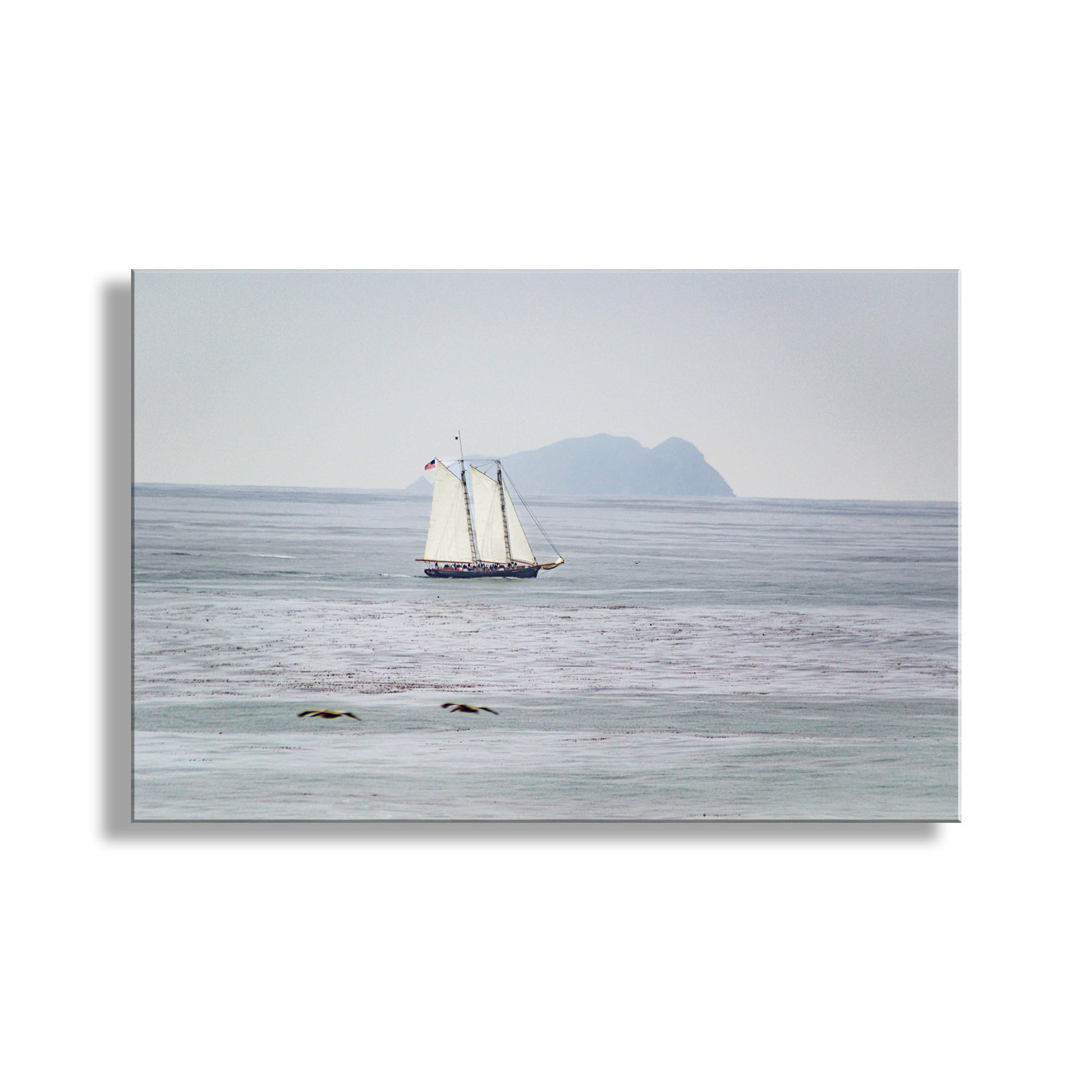 Precious art of a placid day on the Pacific Ocean! This is a gorgeous schooner at San Diego California with the north island of Islas Coronado in the distance. Cruising seagulls intervene! Original, unique signed art by Murray Bolesta.
