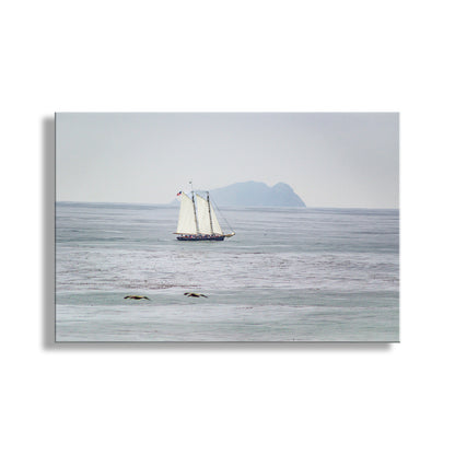 Precious art of a placid day on the Pacific Ocean! This is a gorgeous schooner at San Diego California with the north island of Islas Coronado in the distance. Cruising seagulls intervene! Original, unique signed art by Murray Bolesta.