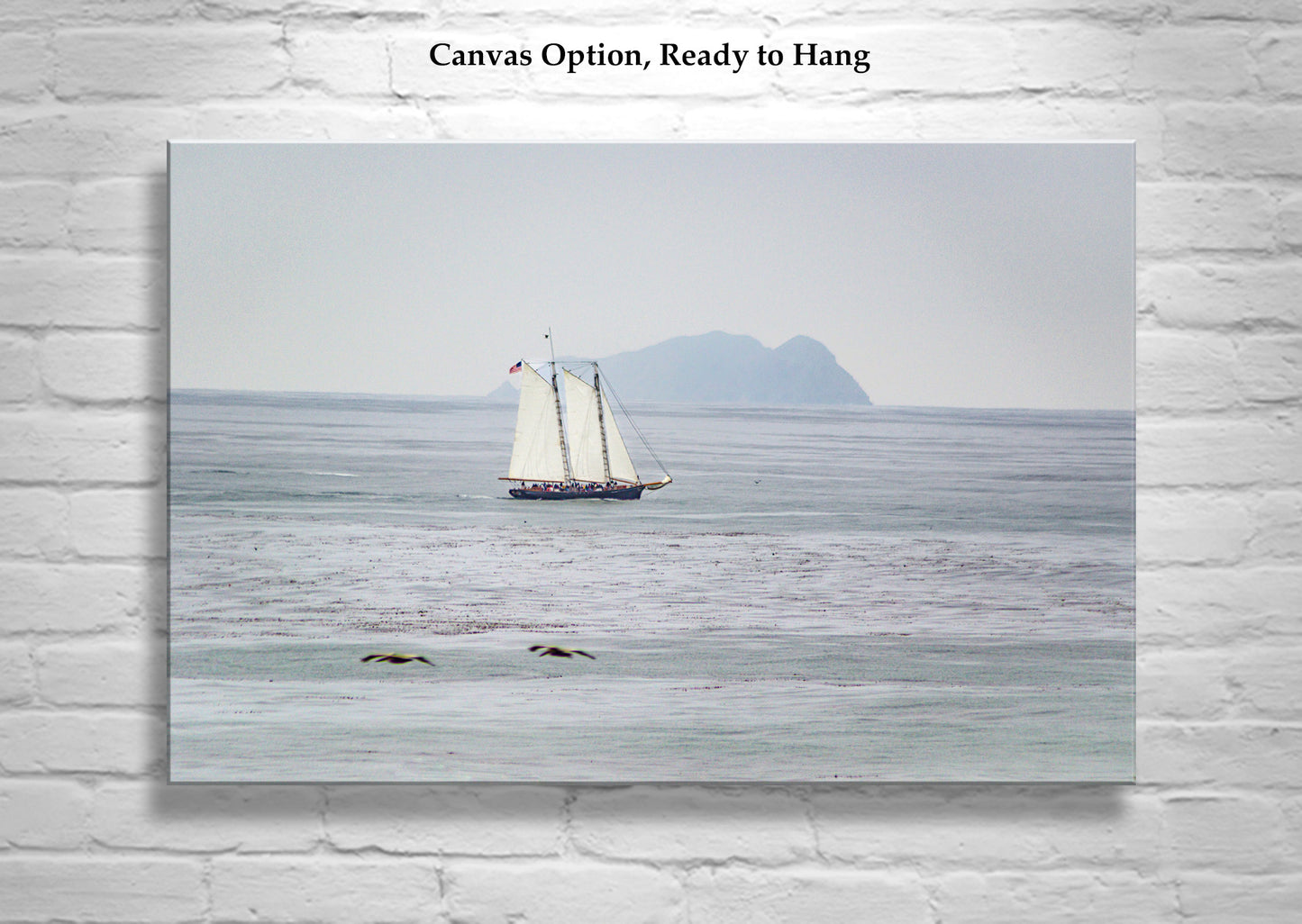 San Diego California Sailing Art Print with Schooner Sailboat at Pacific Ocean