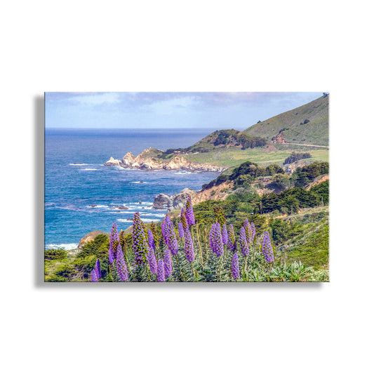 Scenic view of a coastal landscape with purple flowers in the foreground. Big Sur California Coast Seascape Art Print by Murray Bolesta!