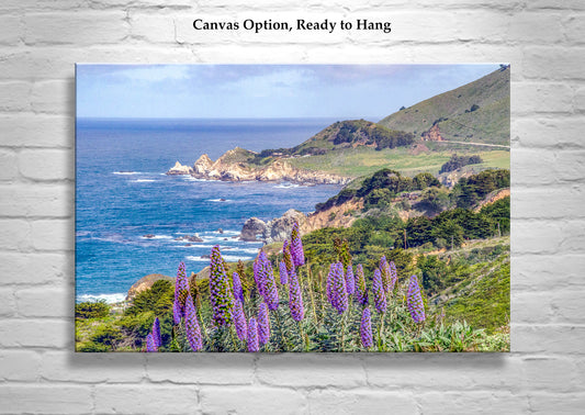 Big Sur California Coast Seascape Art Print by Murray Bolesta!