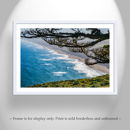 Point Reyes Wall Art by Murray Bolesta with Monterey Cypress Tree