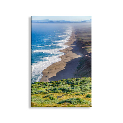 Scenic view of a beach with ocean waves and a grassy hillside. Point Reyes California Coast Seascape Art Print with Wild Deer