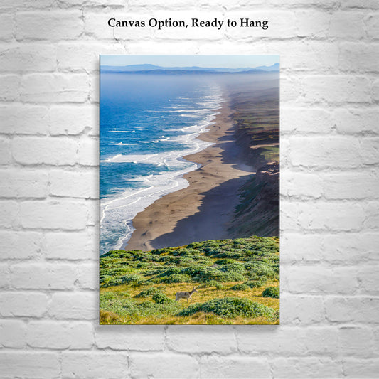 Point Reyes California Coast Seascape Art Print with Wild Deer