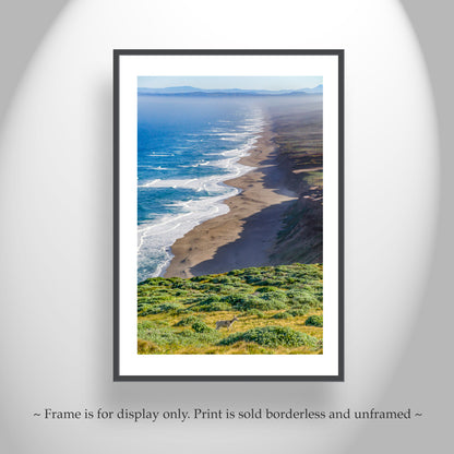 Point Reyes California Coast Seascape Art Print with Wild Deer