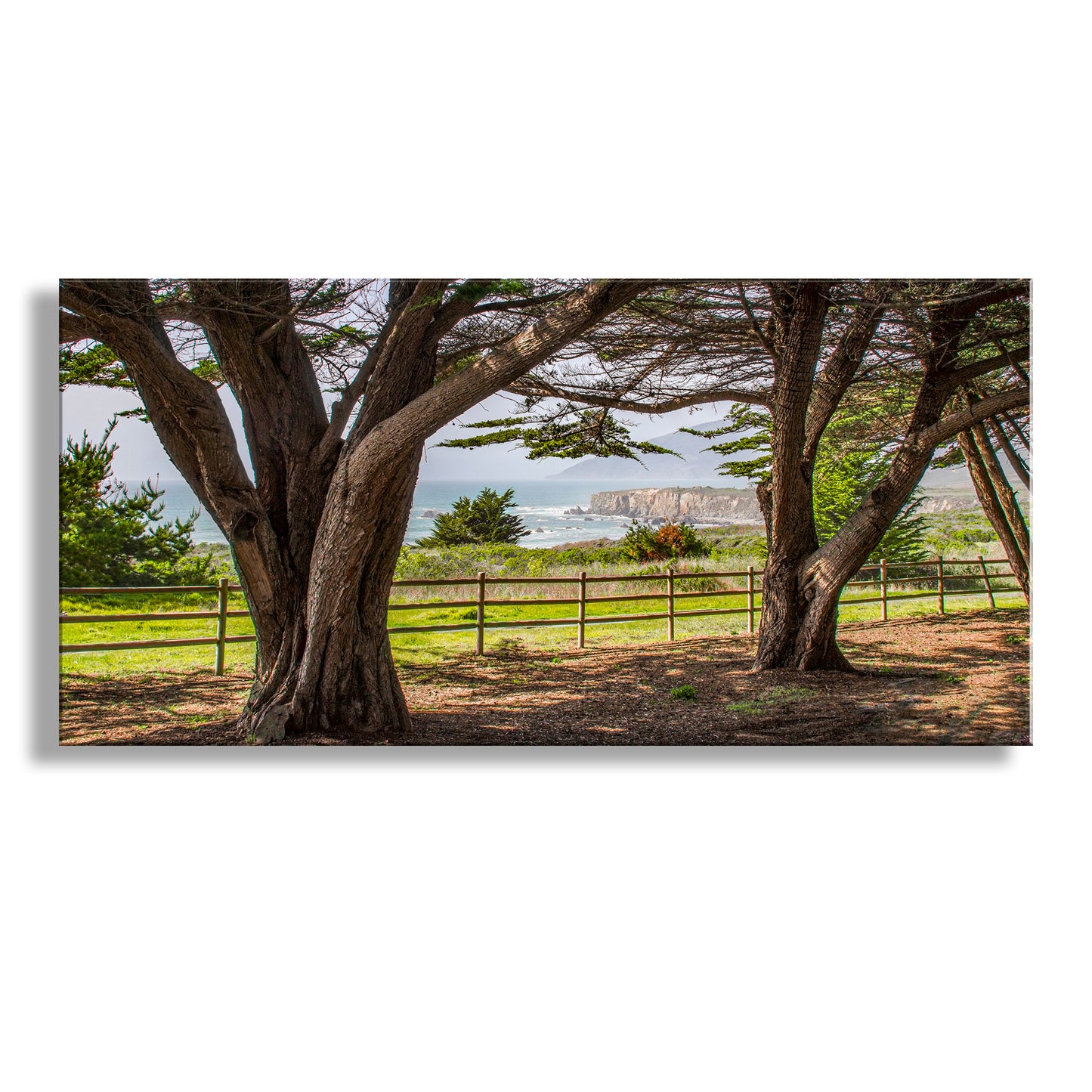 Big Sur California Coast Seascape Art with Monterey Cypress Trees