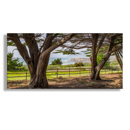 Big Sur California Coast Seascape Art with Monterey Cypress Trees