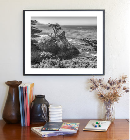 Carmel by the Sea Lone Cypress Trees Black and White Art Print