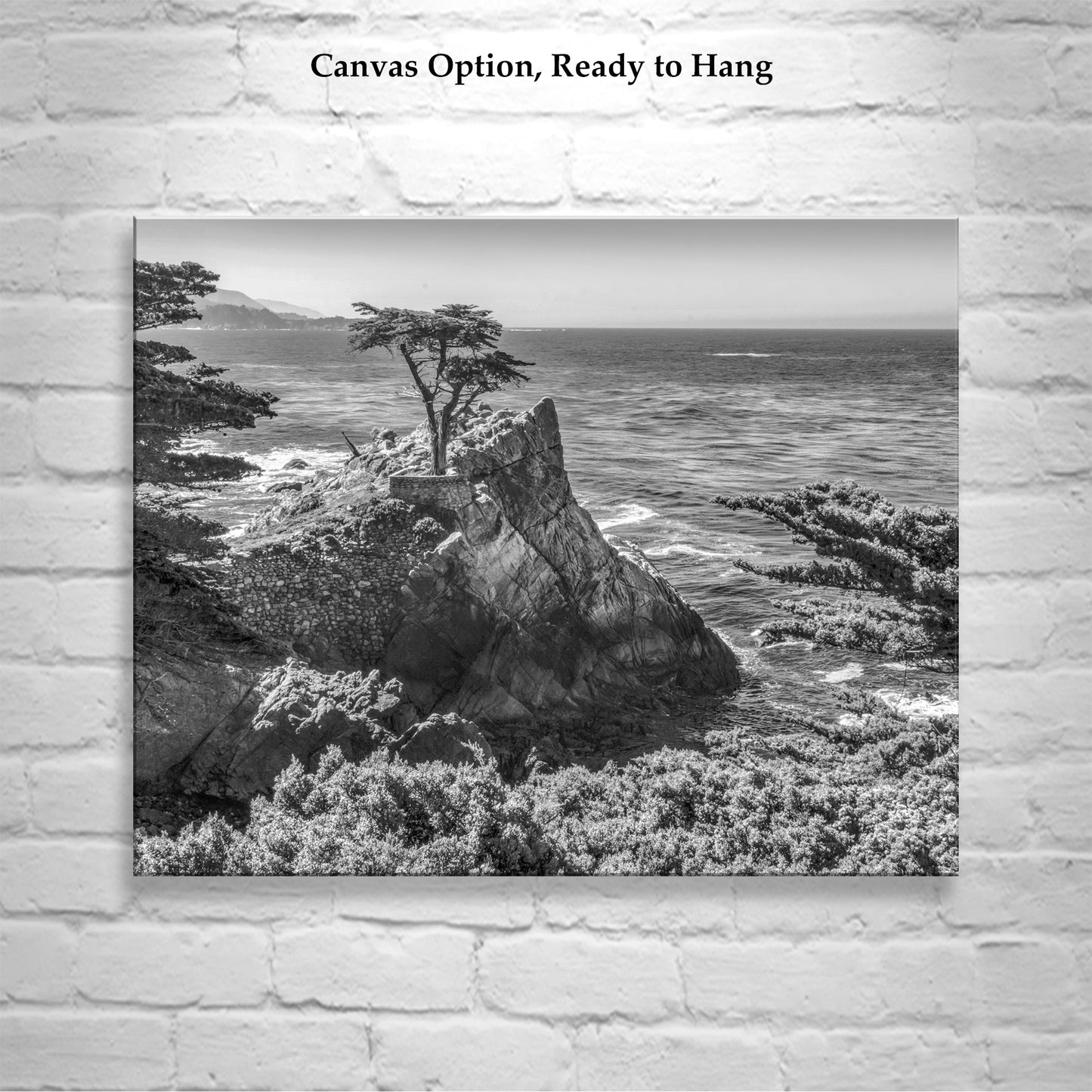 Carmel by the Sea Lone Cypress Trees Black and White Art Print