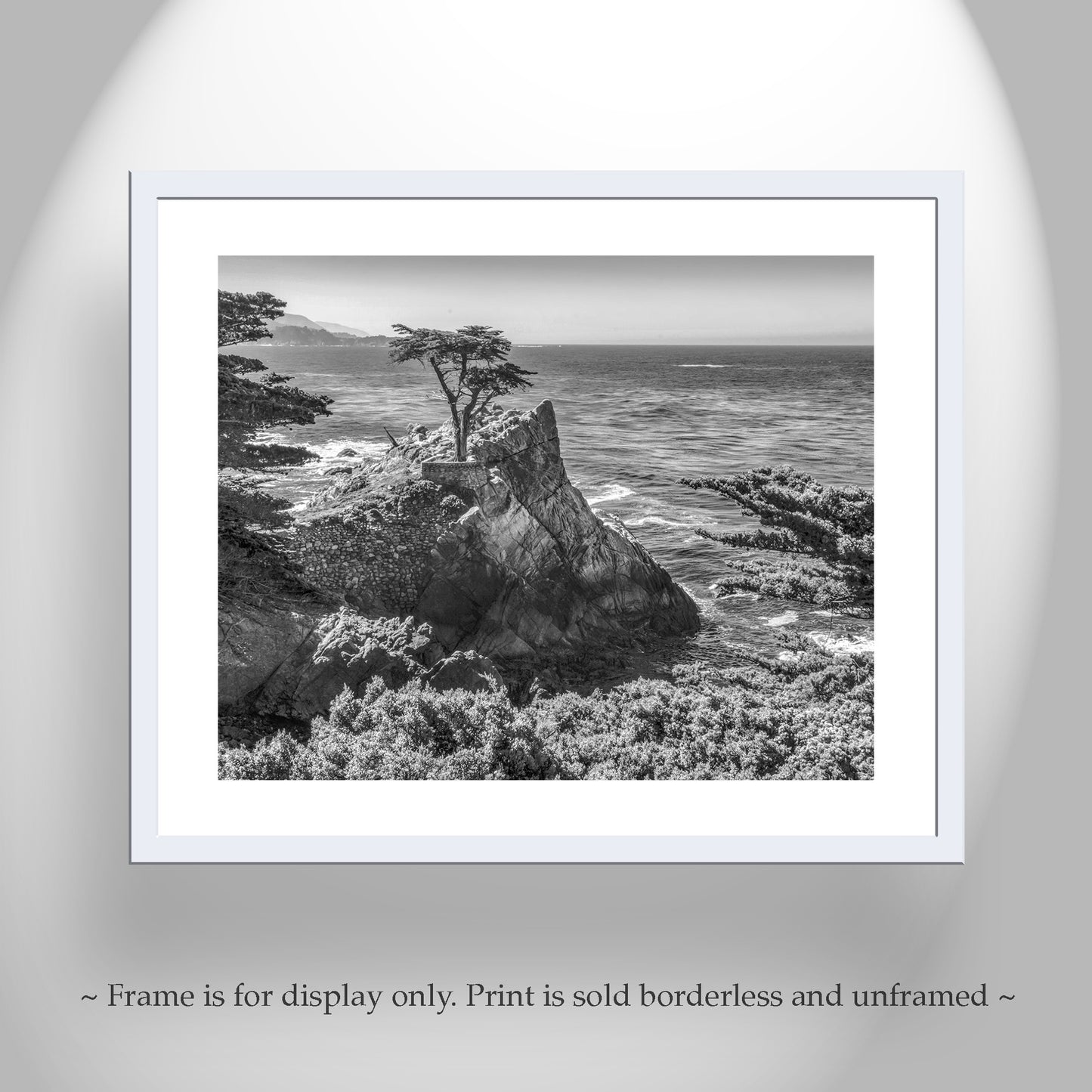 Carmel by the Sea Lone Cypress Trees Black and White Art Print