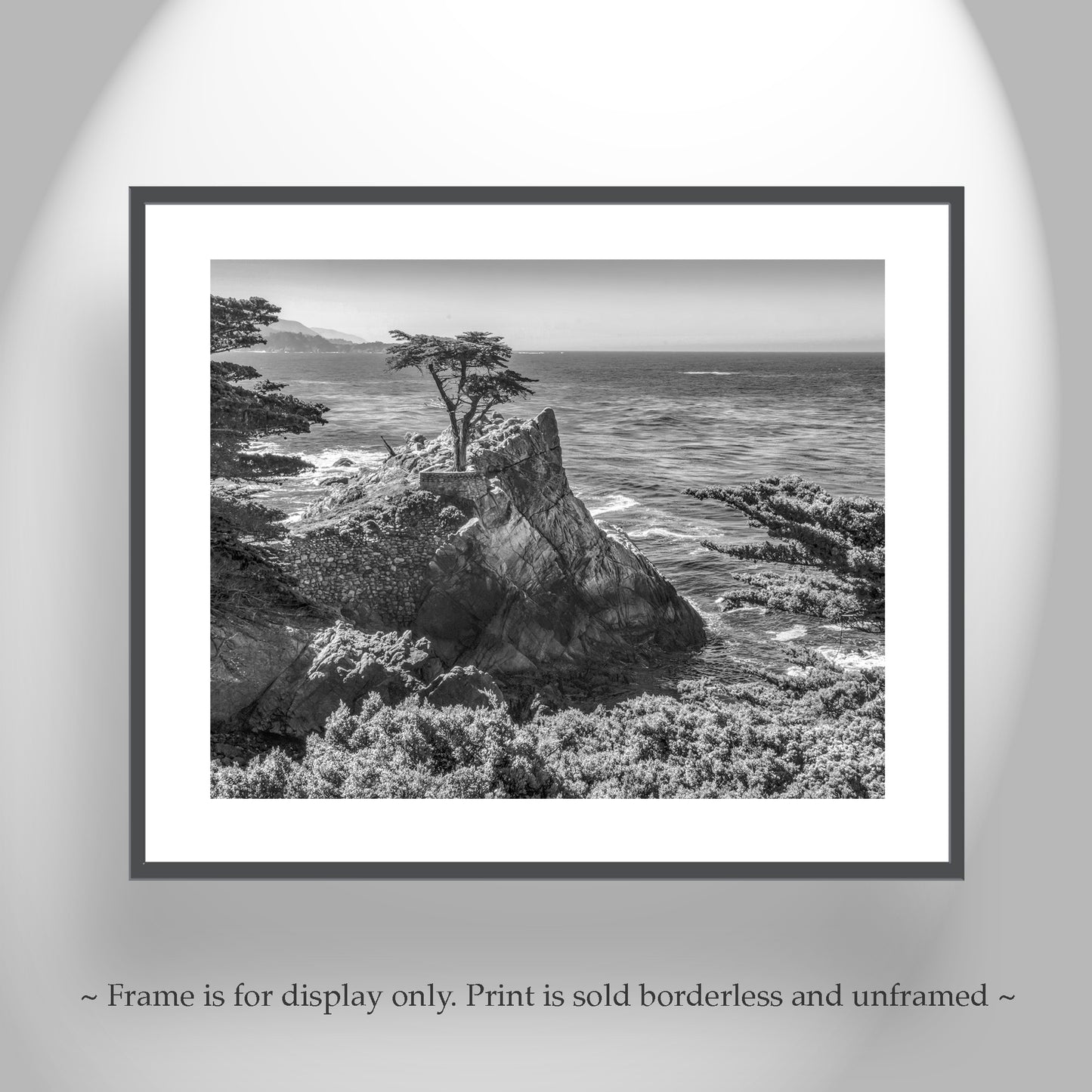 Carmel by the Sea Lone Cypress Trees Black and White Art Print