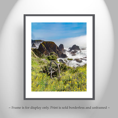 Sea Ranch Mendocino California Coast | Vertical Art Print Wall Decor