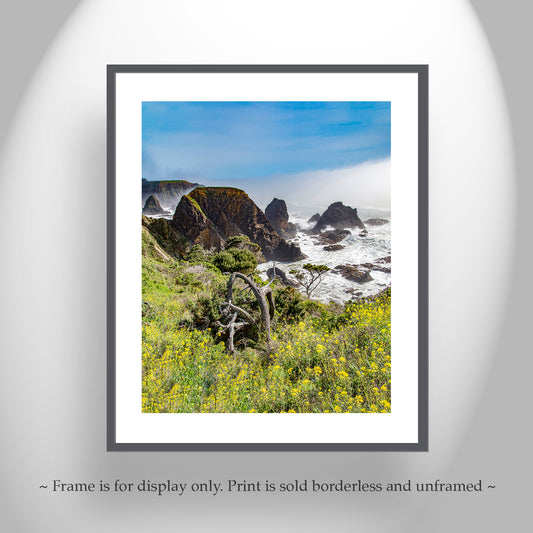 Sea Ranch Mendocino California Coast | Vertical Art Print Wall Decor