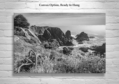 Sea Ranch Mendocino Pacific Coast Highway Art in Black & White
