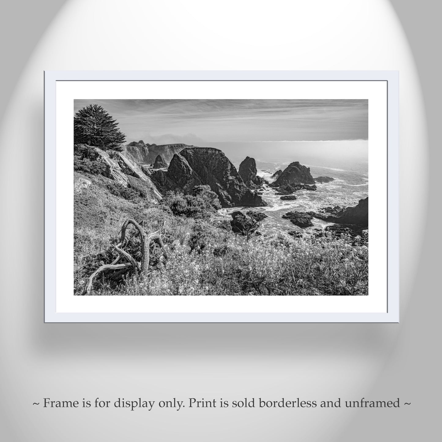 Sea Ranch Mendocino Pacific Coast Highway Art in Black & White