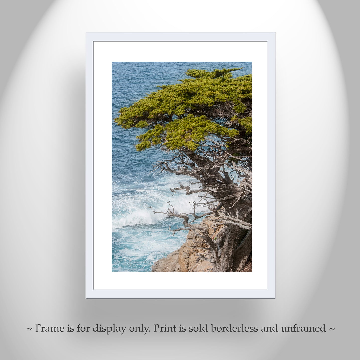 Carmel by the Sea Point Lobos Vertical Art Print at California Coast