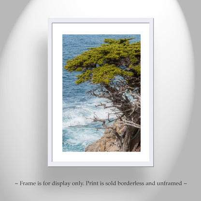 Carmel by the Sea Point Lobos Vertical Art Print at California Coast