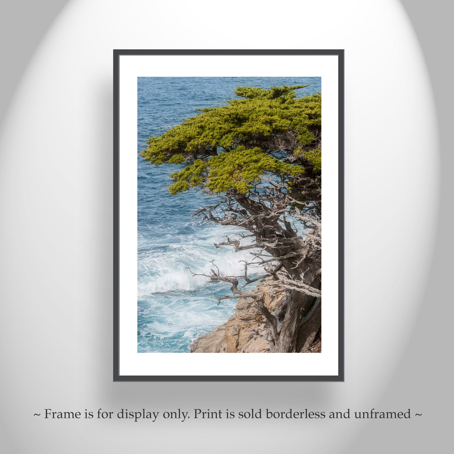 Carmel by the Sea Point Lobos Vertical Art Print at California Coast