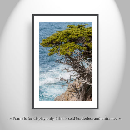 Carmel by the Sea Point Lobos Vertical Art Print at California Coast
