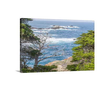 Canvas print of a coastal scene with trees and ocean waves. My marvelous Monterey Peninsula art print with Point Lobos State Natural Reserve: coastal evergreens frame a restless sea on the Big Sur coastline of northern California, USA. This is elemental, preserved wild nature at its most artful!&nbsp; Original, unique signed art by Murray Bolesta.