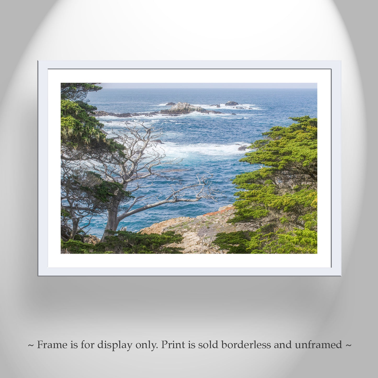 Point Lobos Carmel By the Sea Art Photography by Murray Bolesta