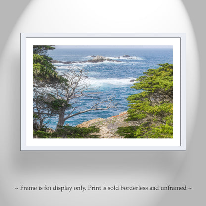 Point Lobos Carmel By the Sea Art Photography by Murray Bolesta