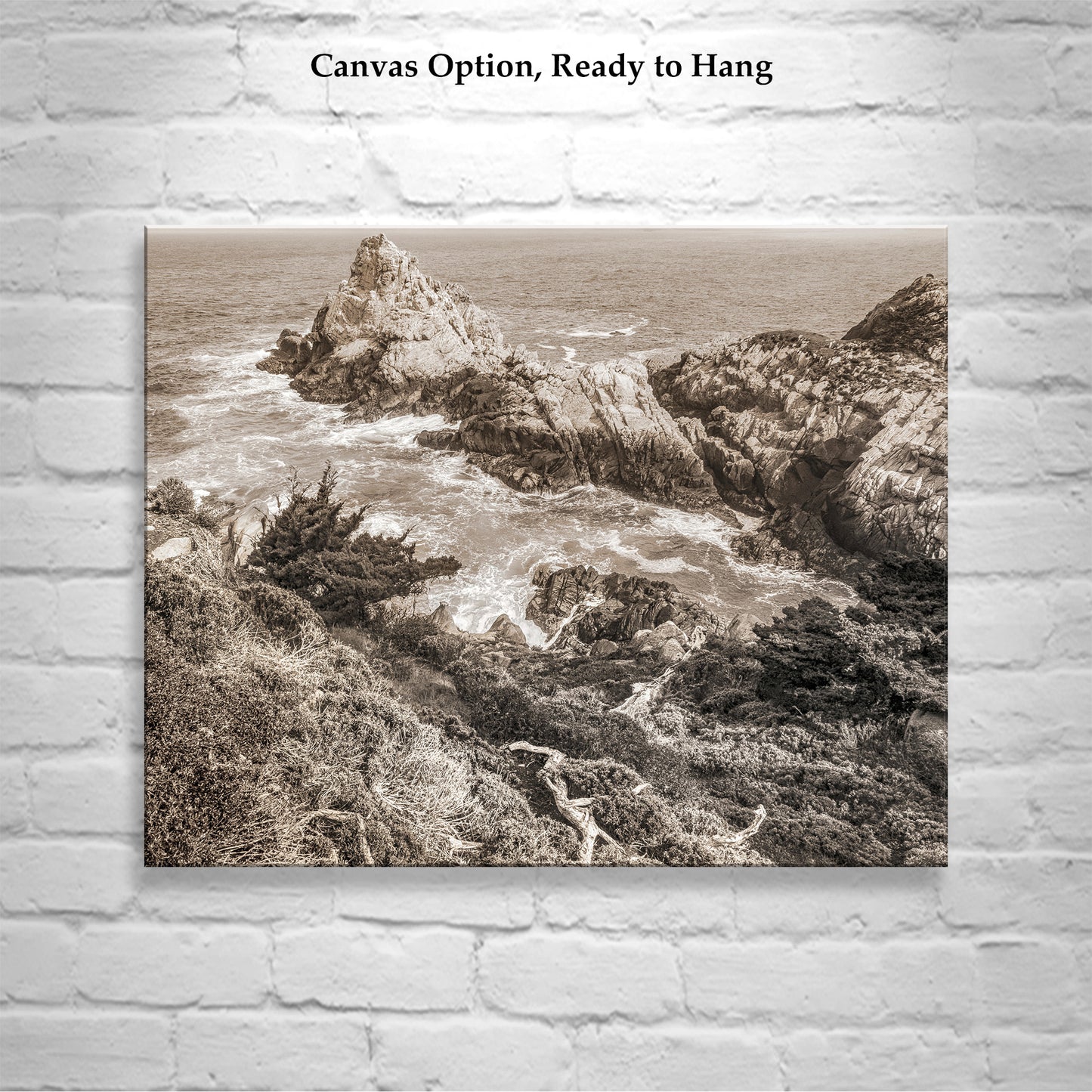 Point Lobos California | Pacific Ocean Photography in Sepia Tone