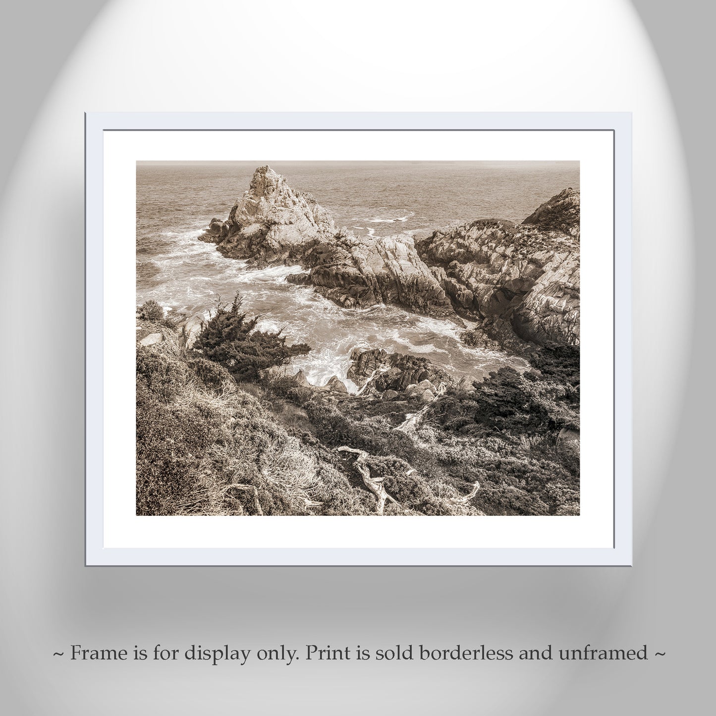Point Lobos California | Pacific Ocean Photography in Sepia Tone