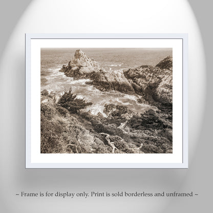 Point Lobos California | Pacific Ocean Photography in Sepia Tone