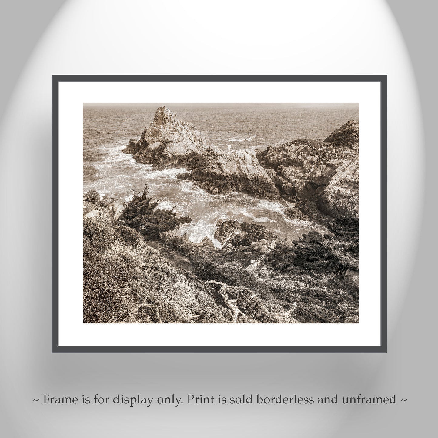 Point Lobos California | Pacific Ocean Photography in Sepia Tone